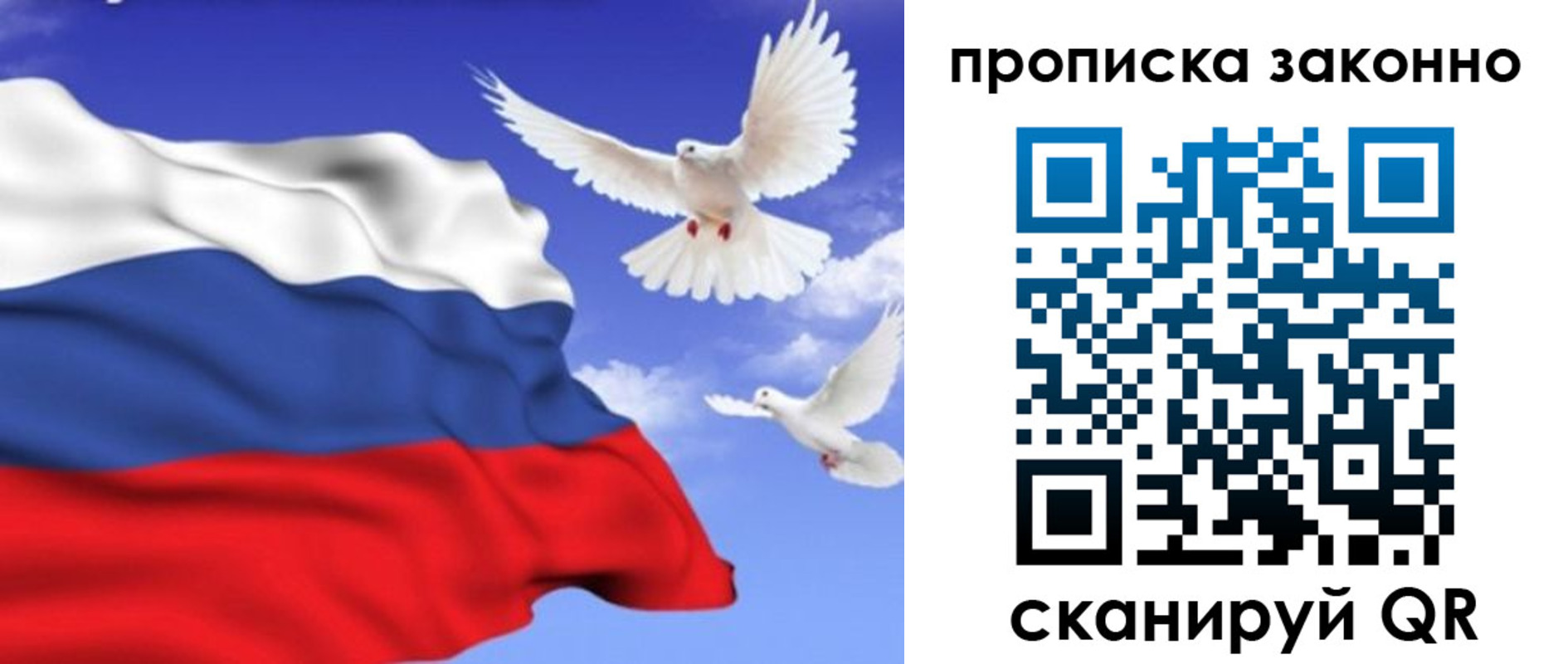 прописка в Реутове